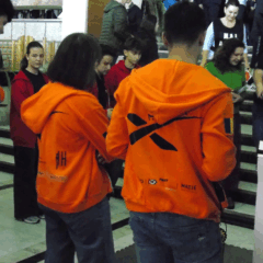 Job Fair for Youth in Hunedoara